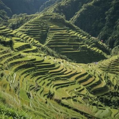  De Banaue Rice Terraces: Een Ongelooflijke Ingenieurskunst Wonder van de Oude Wereld!