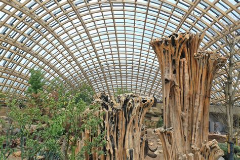 Taiyuan Botanical Garden: Een groene oase vol exotische planten en fascinerende landschappen!